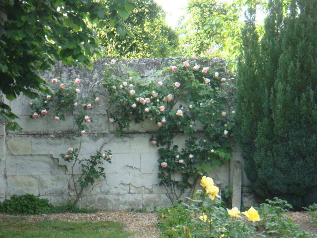 Villa Chanelle Les Rosiers Dış mekan fotoğraf